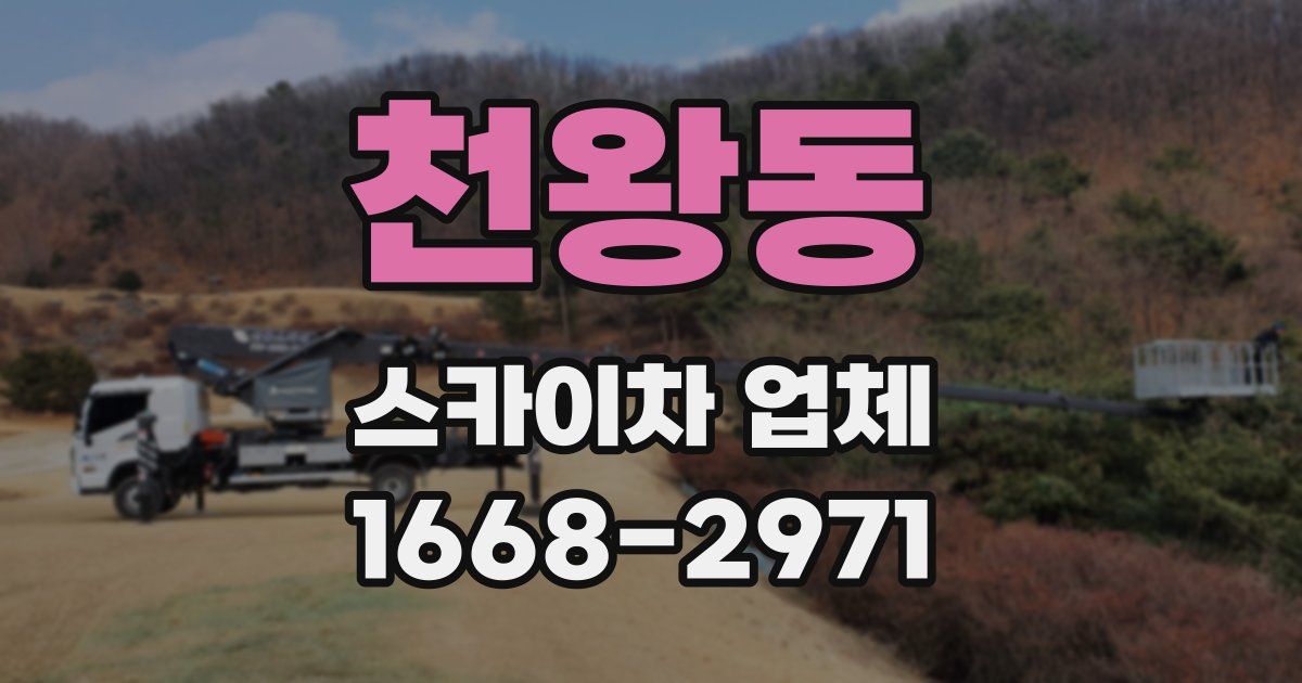천왕동 스카이차 업체