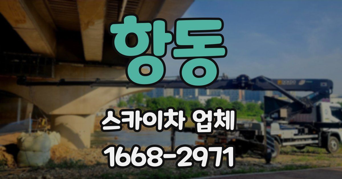 항동 스카이차 업체