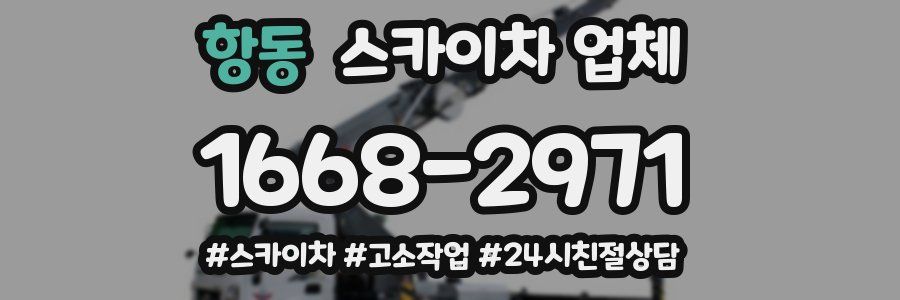 항동 스카이차 업체