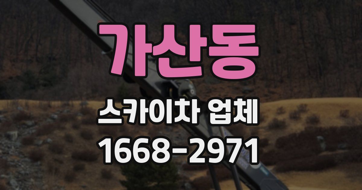 가산동 스카이차 업체