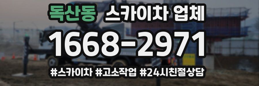 독산동 스카이차 업체