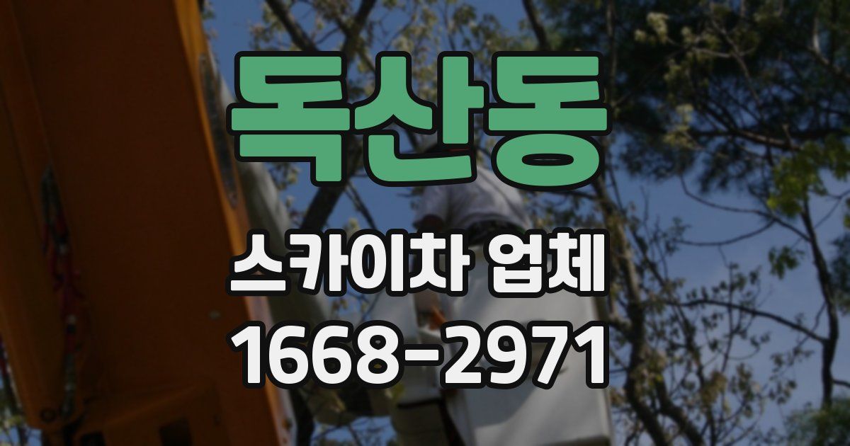 독산동 스카이차 업체