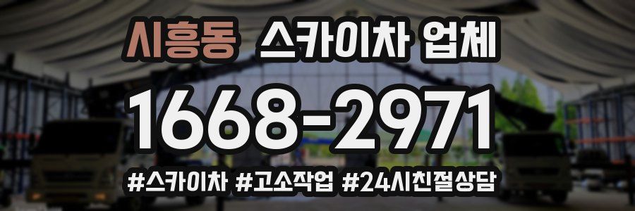 시흥동 스카이차 업체
