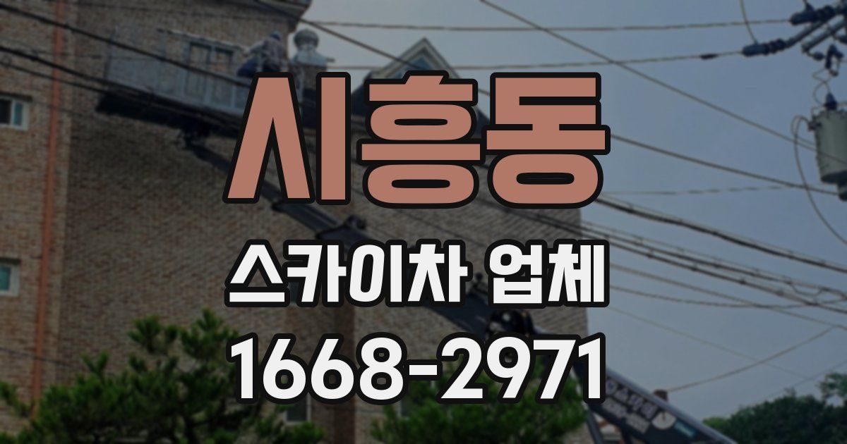 시흥동 스카이차 업체