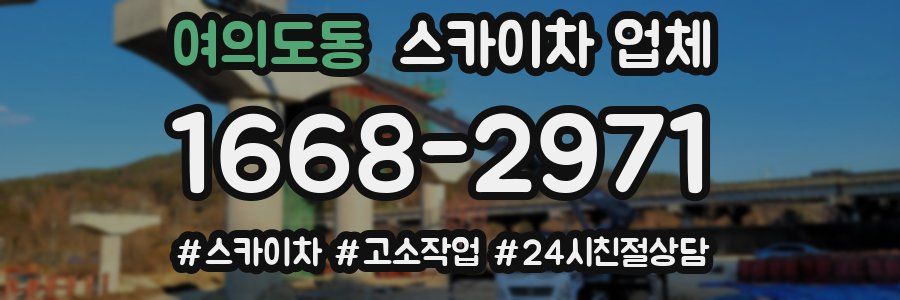 여의도동 스카이차 업체