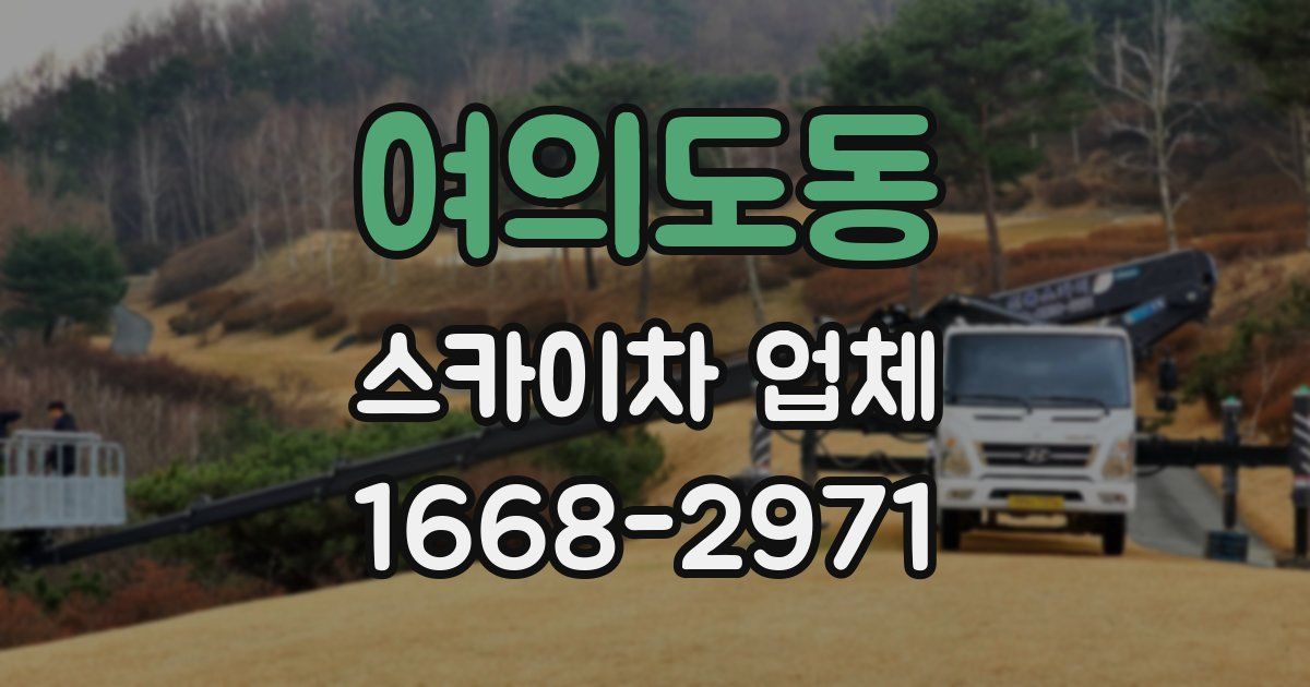 여의도동 스카이차 업체