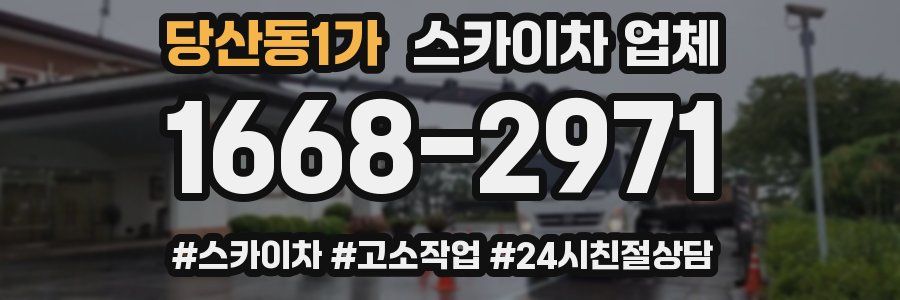 당산동1가 스카이차 업체
