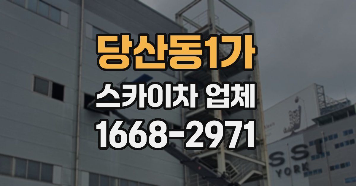 당산동1가 스카이차 업체