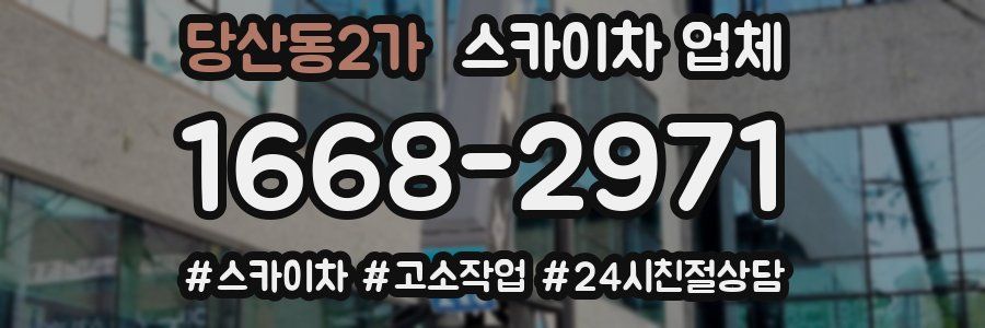 당산동2가 스카이차 업체