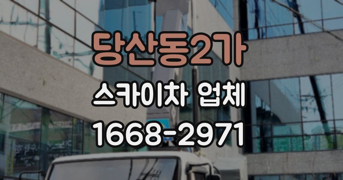 당산동2가 스카이차 업체
