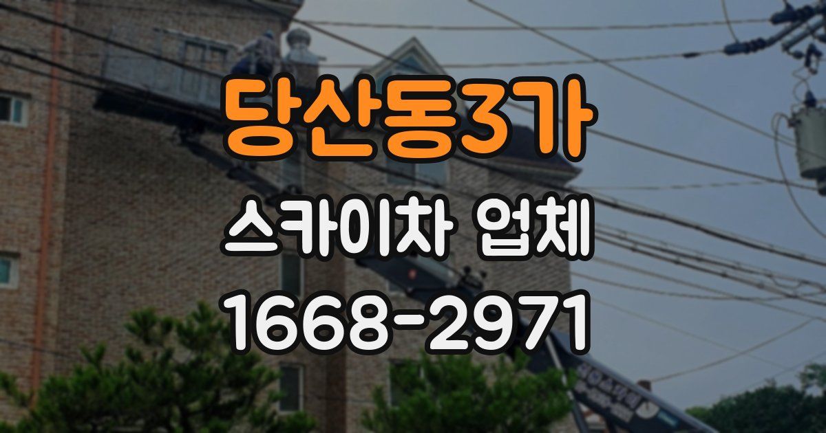 당산동3가 스카이차 업체