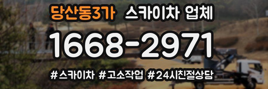 당산동3가 스카이차 업체