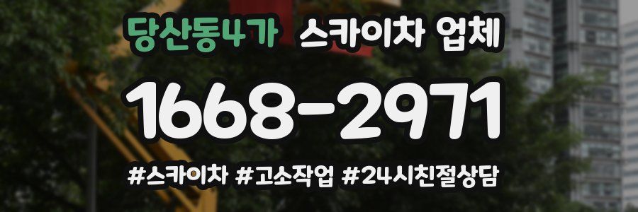 당산동4가 스카이차 업체