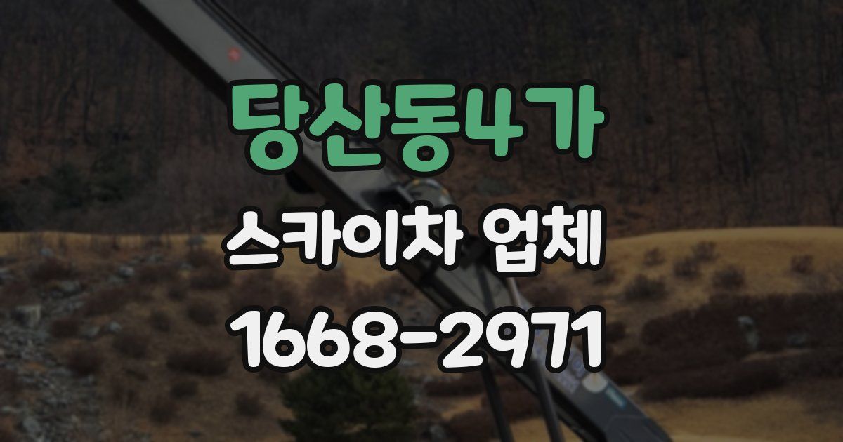 당산동4가 스카이차 업체