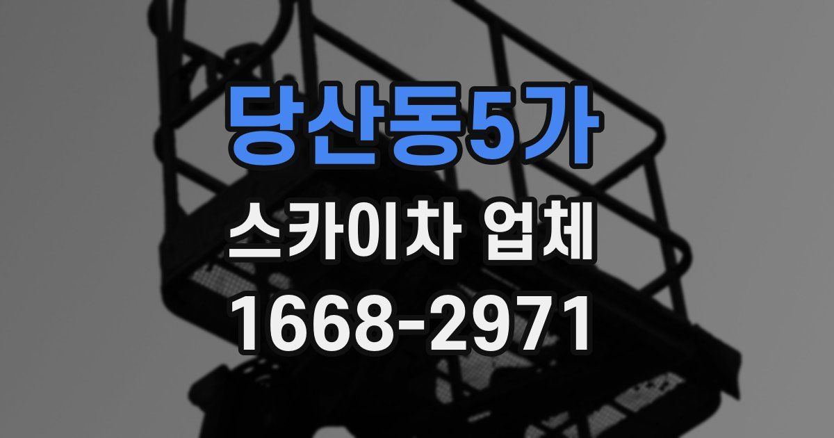 당산동5가 스카이차 업체