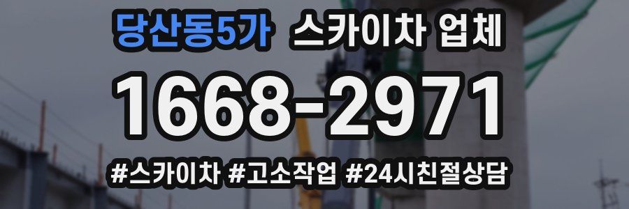 당산동5가 스카이차 업체
