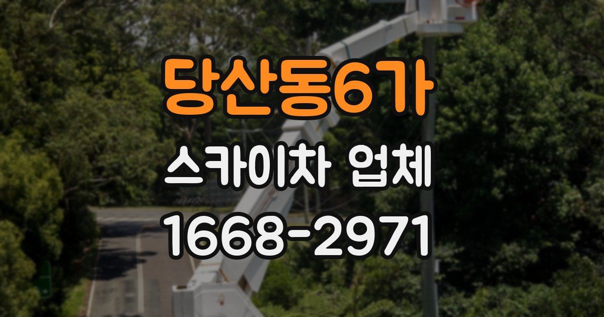 당산동6가 스카이차 업체