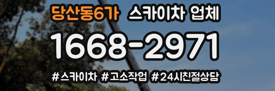 당산동6가 스카이차 업체