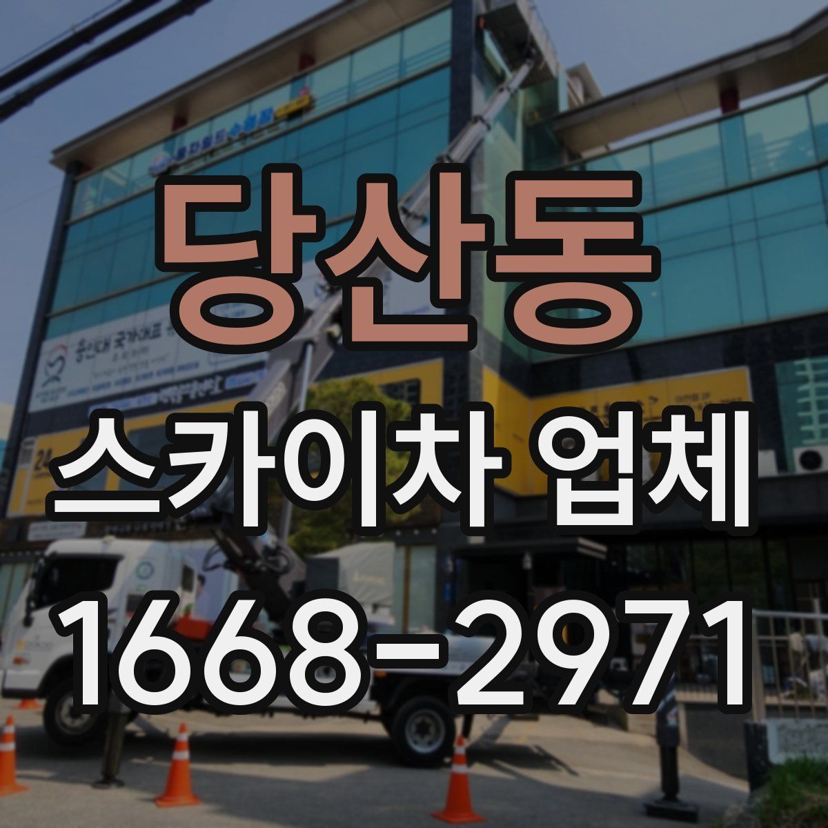 당산동 스카이차 업체