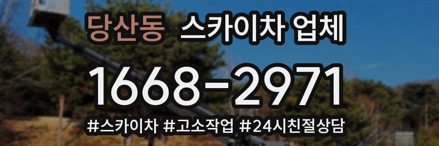 당산동 스카이차 업체
