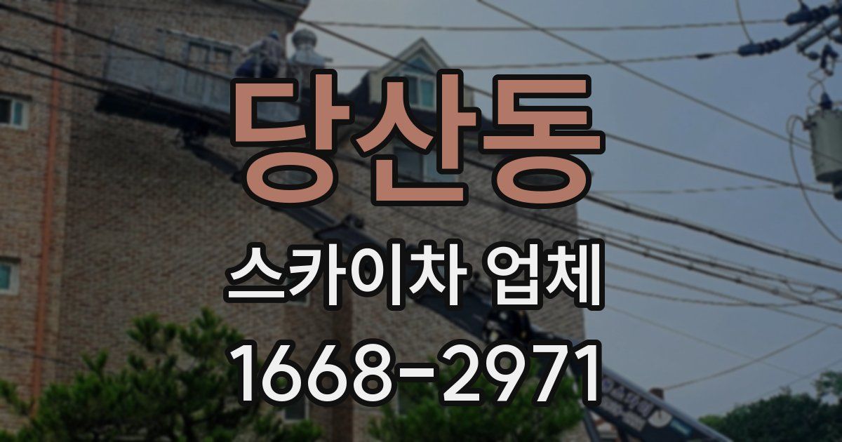 당산동 스카이차 업체