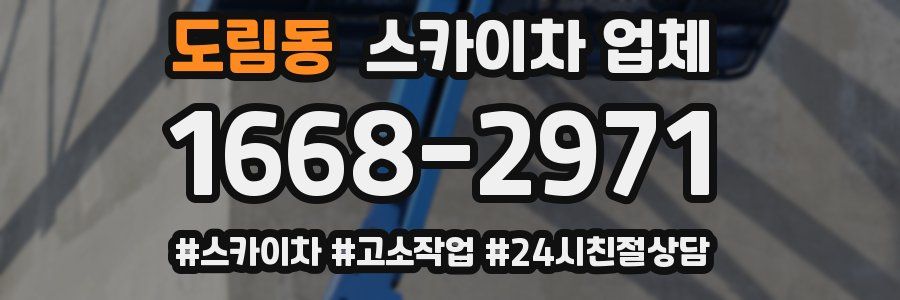 도림동 스카이차 업체