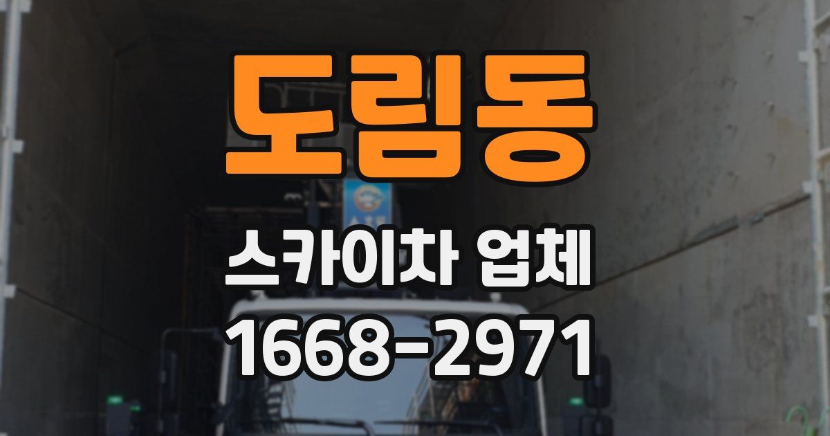 도림동 스카이차 업체