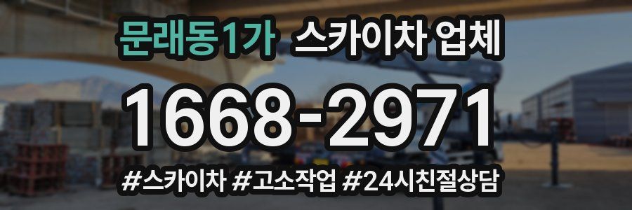 문래동1가 스카이차 업체