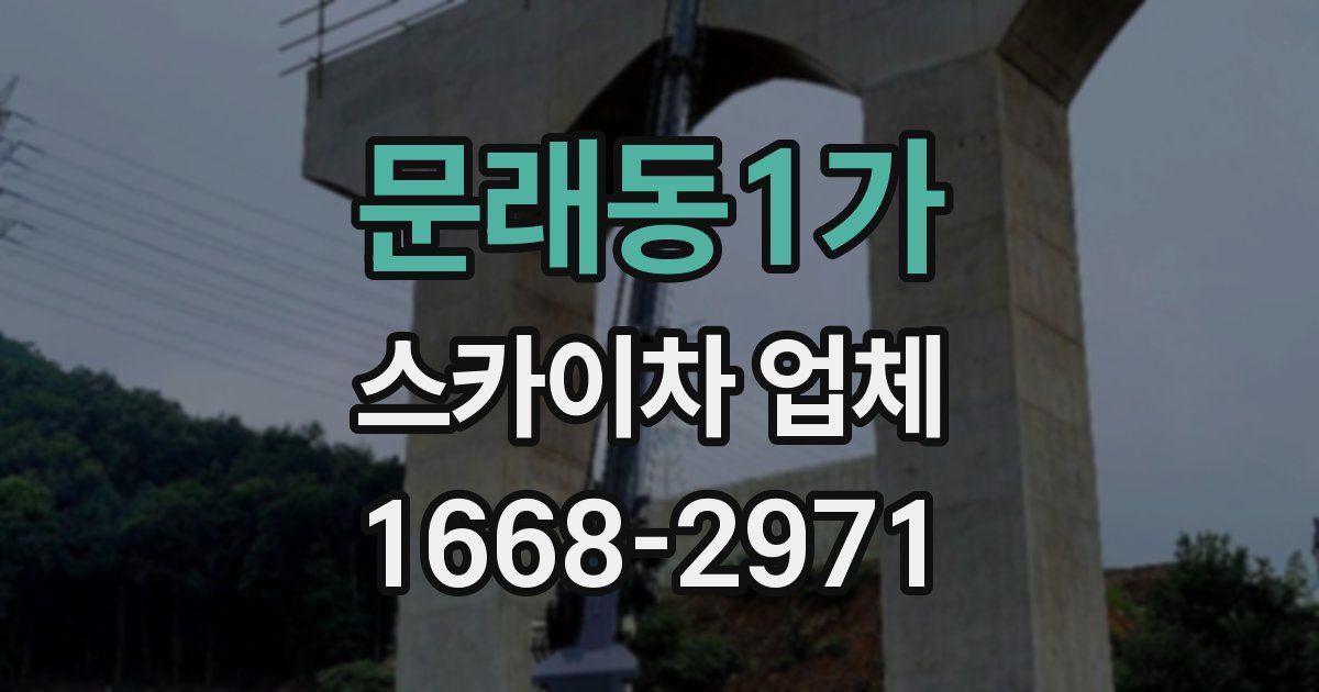 문래동1가 스카이차 업체