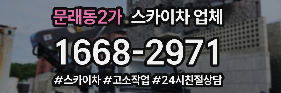 문래동2가 스카이차 업체