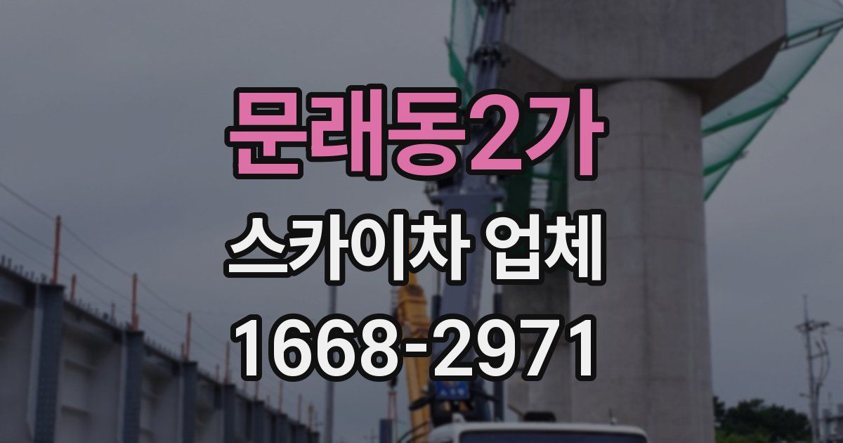 문래동2가 스카이차 업체