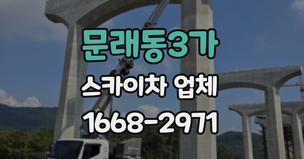 문래동3가 스카이차 업체