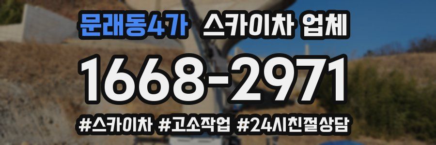 문래동4가 스카이차 업체