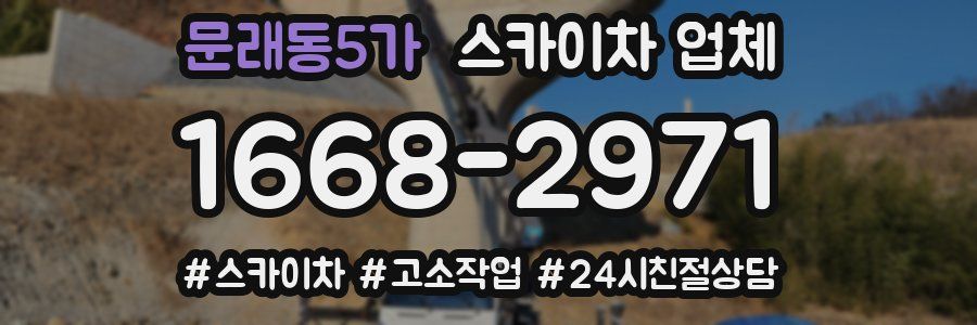 문래동5가 스카이차 업체