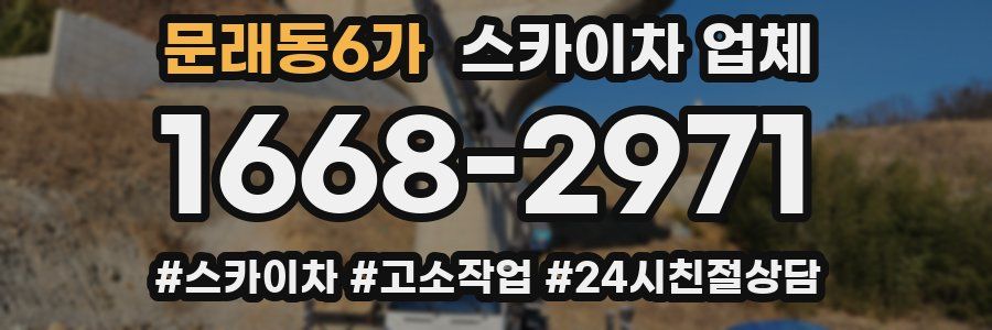 문래동6가 스카이차 업체
