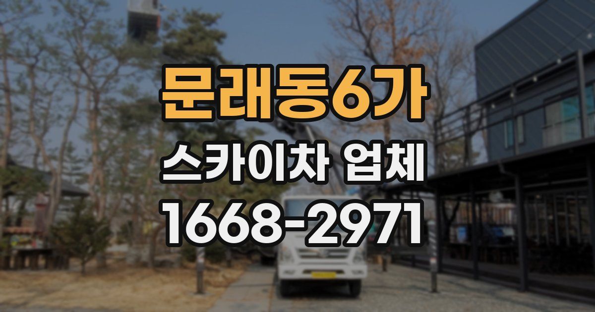 문래동6가 스카이차 업체