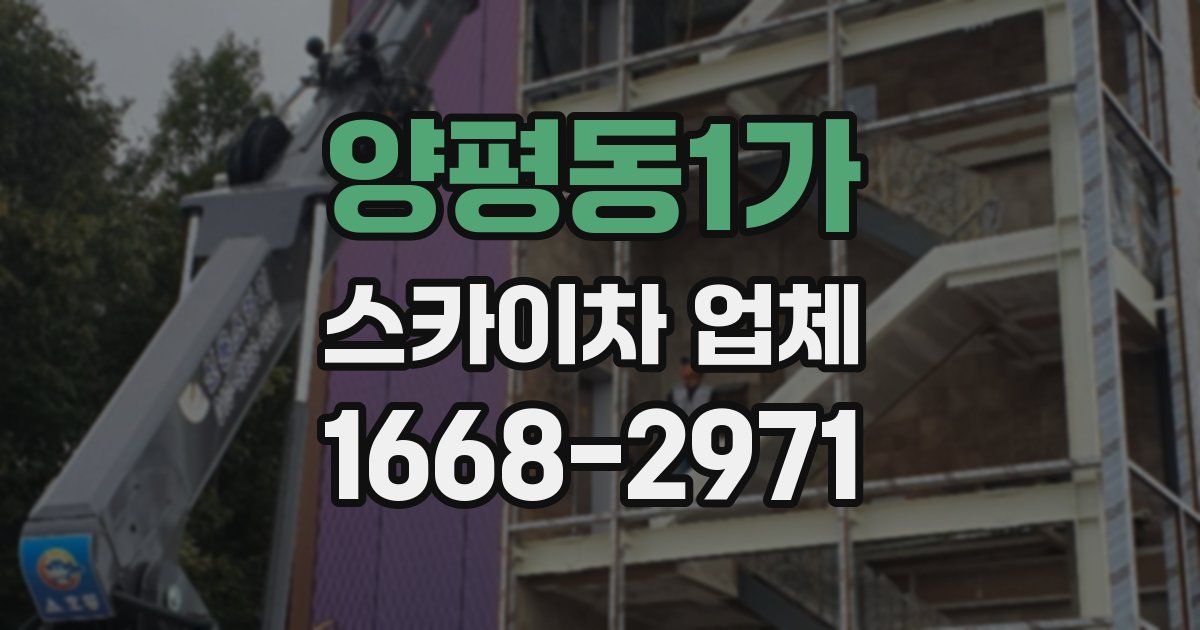양평동1가 스카이차 업체