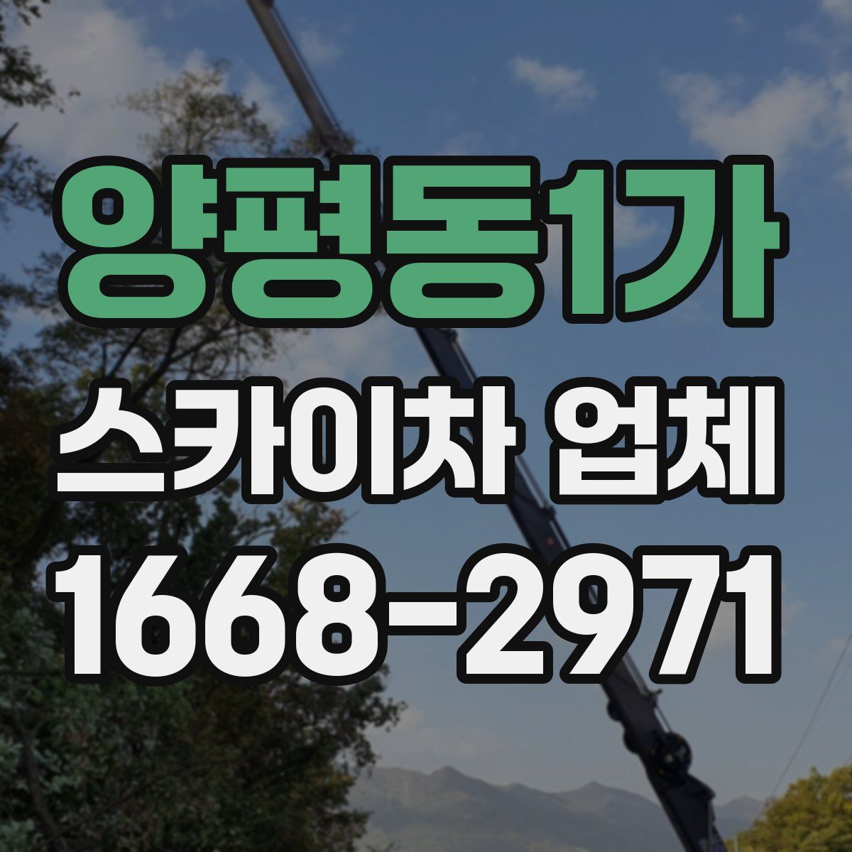 양평동1가 스카이차 업체