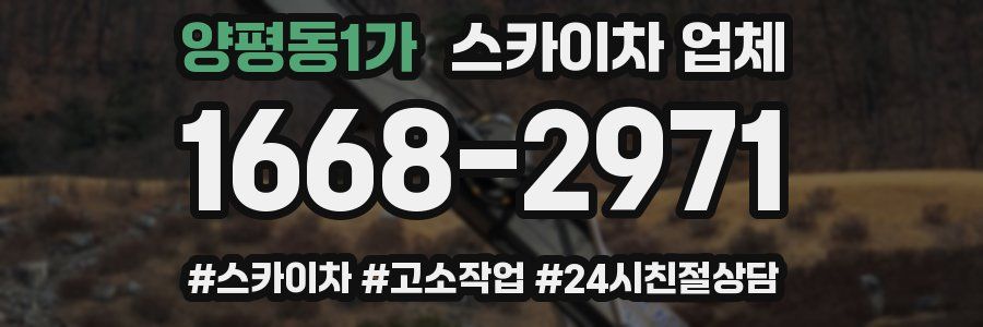양평동1가 스카이차 업체