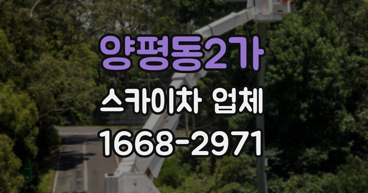 양평동2가 스카이차 업체