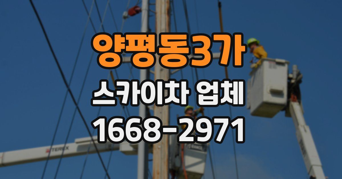 양평동3가 스카이차 업체