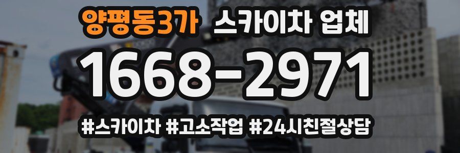 양평동3가 스카이차 업체