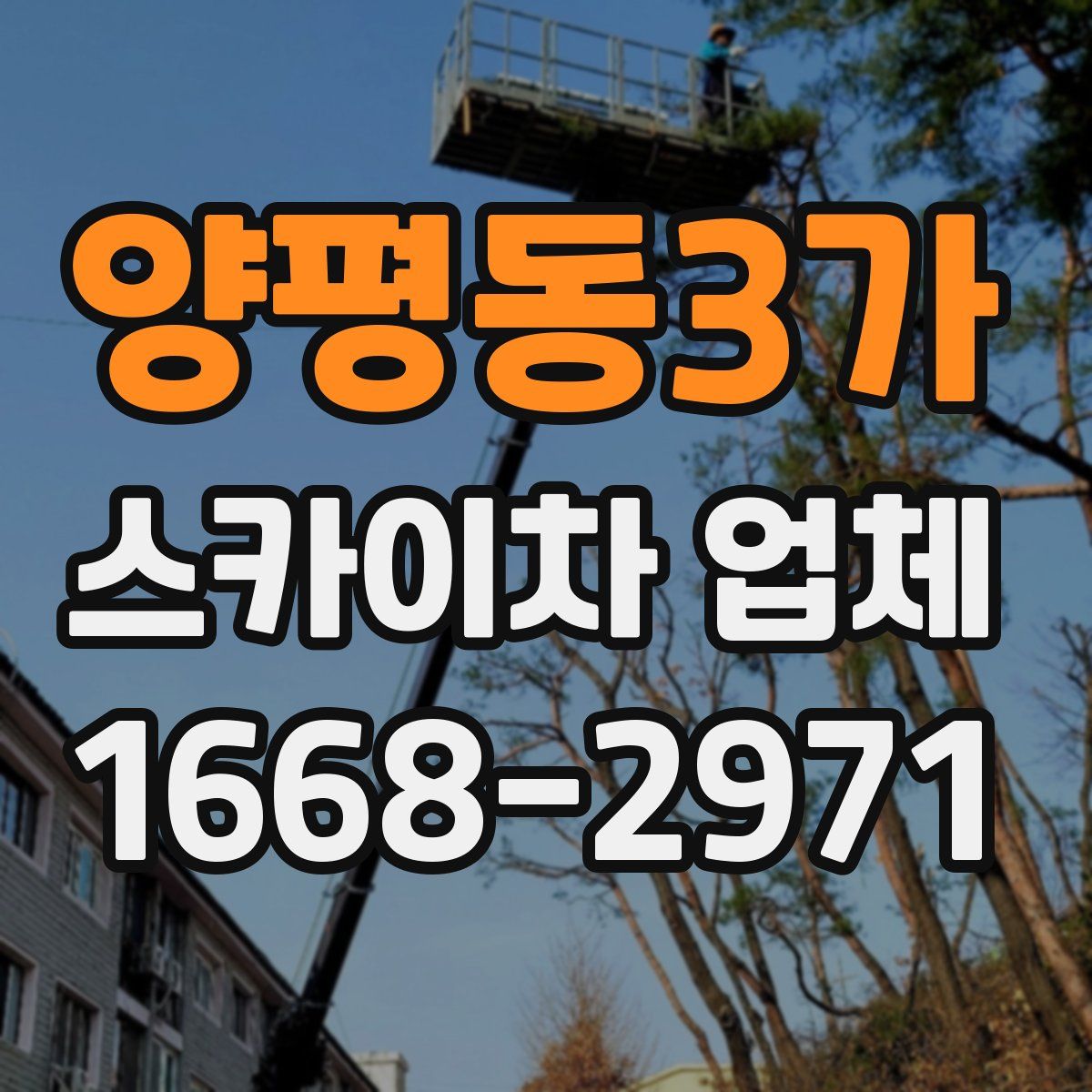 양평동3가 스카이차 업체