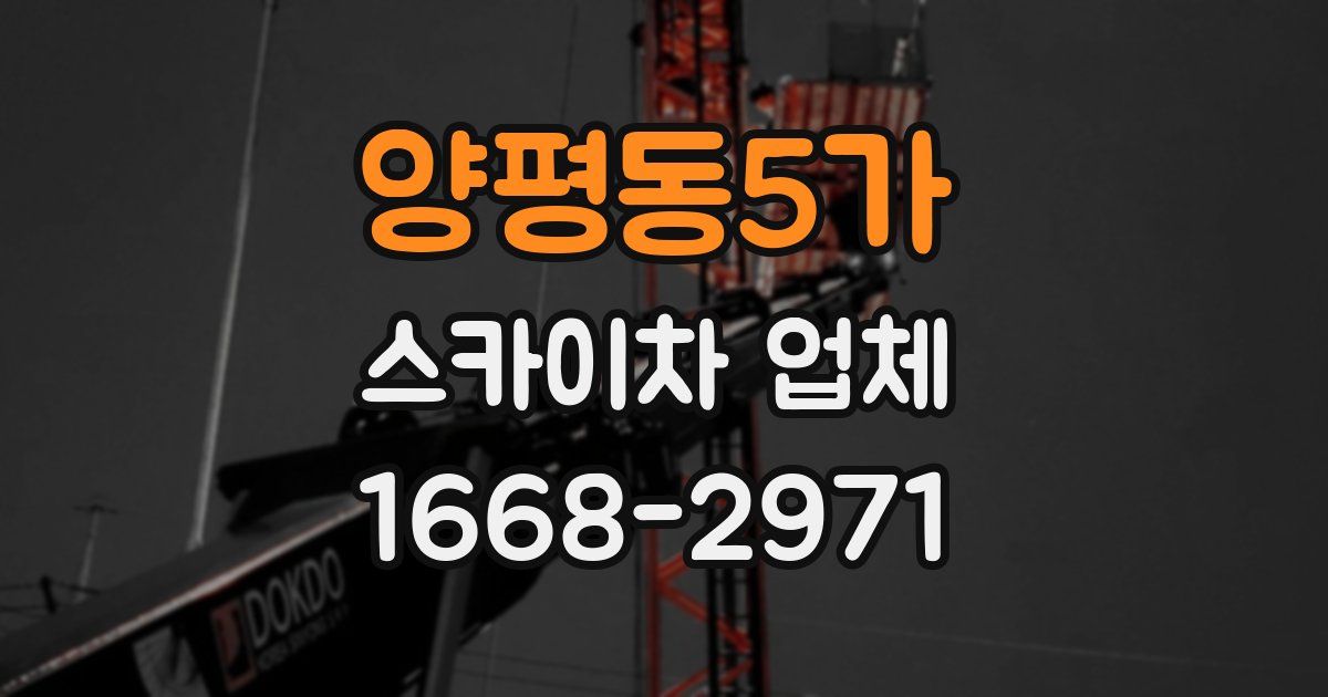 양평동5가 스카이차 업체