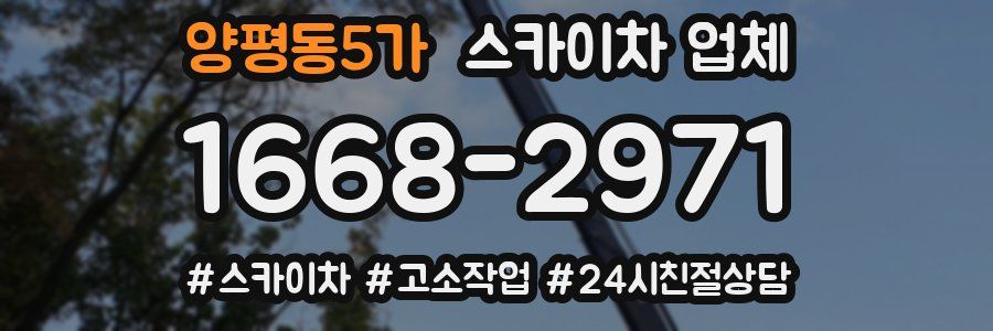 양평동5가 스카이차 업체