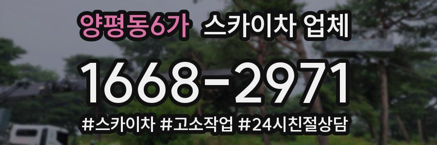 양평동6가 스카이차 업체