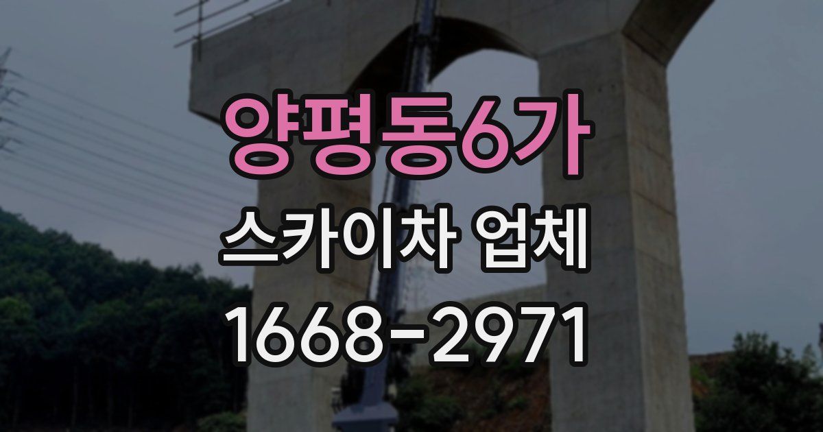 양평동6가 스카이차 업체
