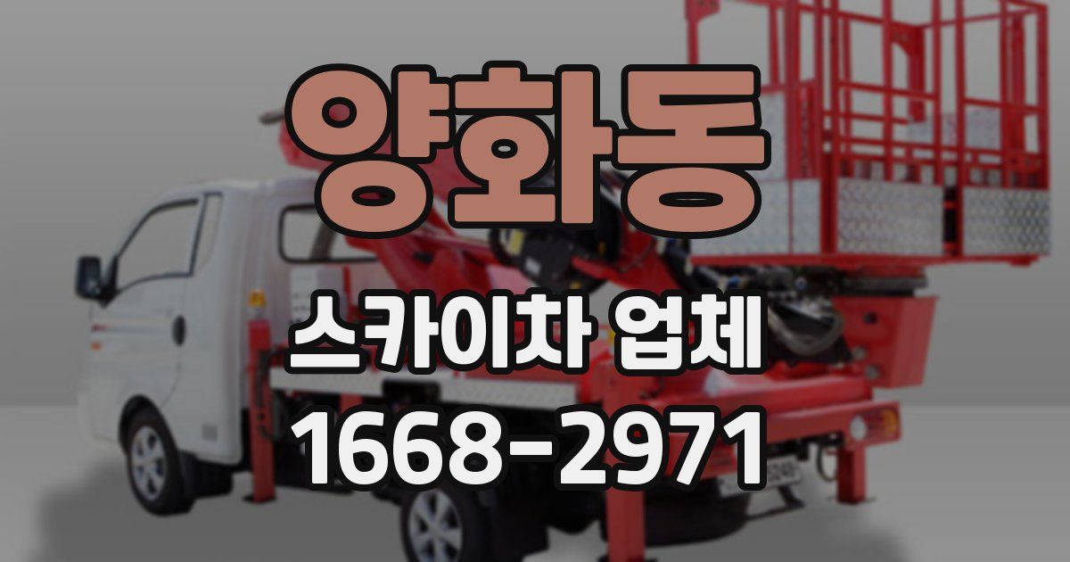 양화동 스카이차 업체