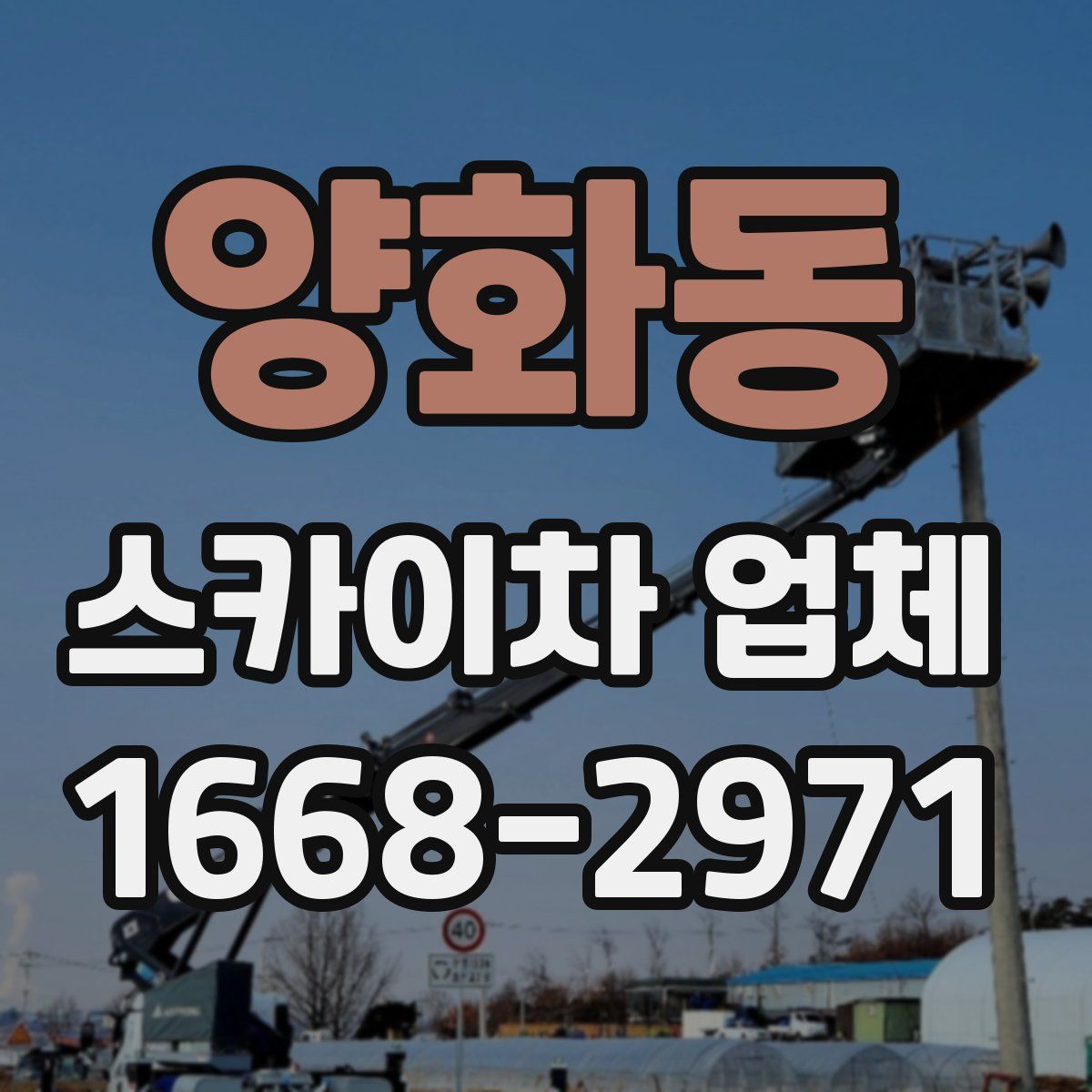 양화동 스카이차 업체