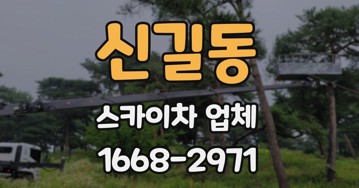 신길동 스카이차 업체